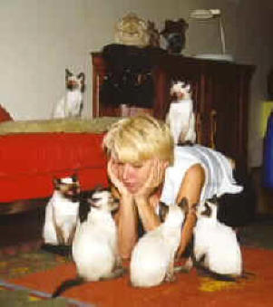 Soms maken ze het te bont in huis.......