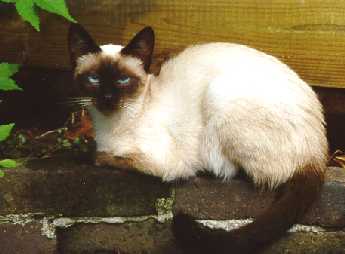 Paquita 8 months, july 2000